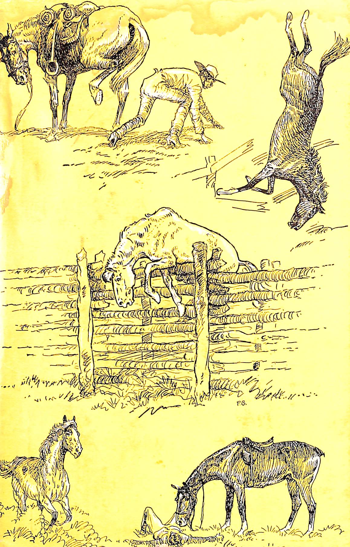 "Great Horse Stories" 1954 COOPER, Page [selected by]