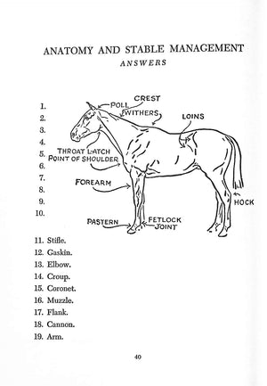 "Horse And Rider: 1000 Questions And Answers For The Equestrian" 1964 DISSTON, Harry