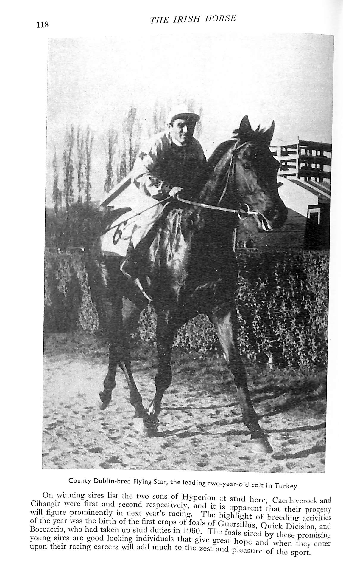 "The Irish Horse Volume XXIX" 1961