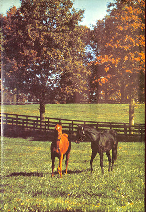 "Bloodstock: Breeding Winners In Europe And America" 1977 GILL, James