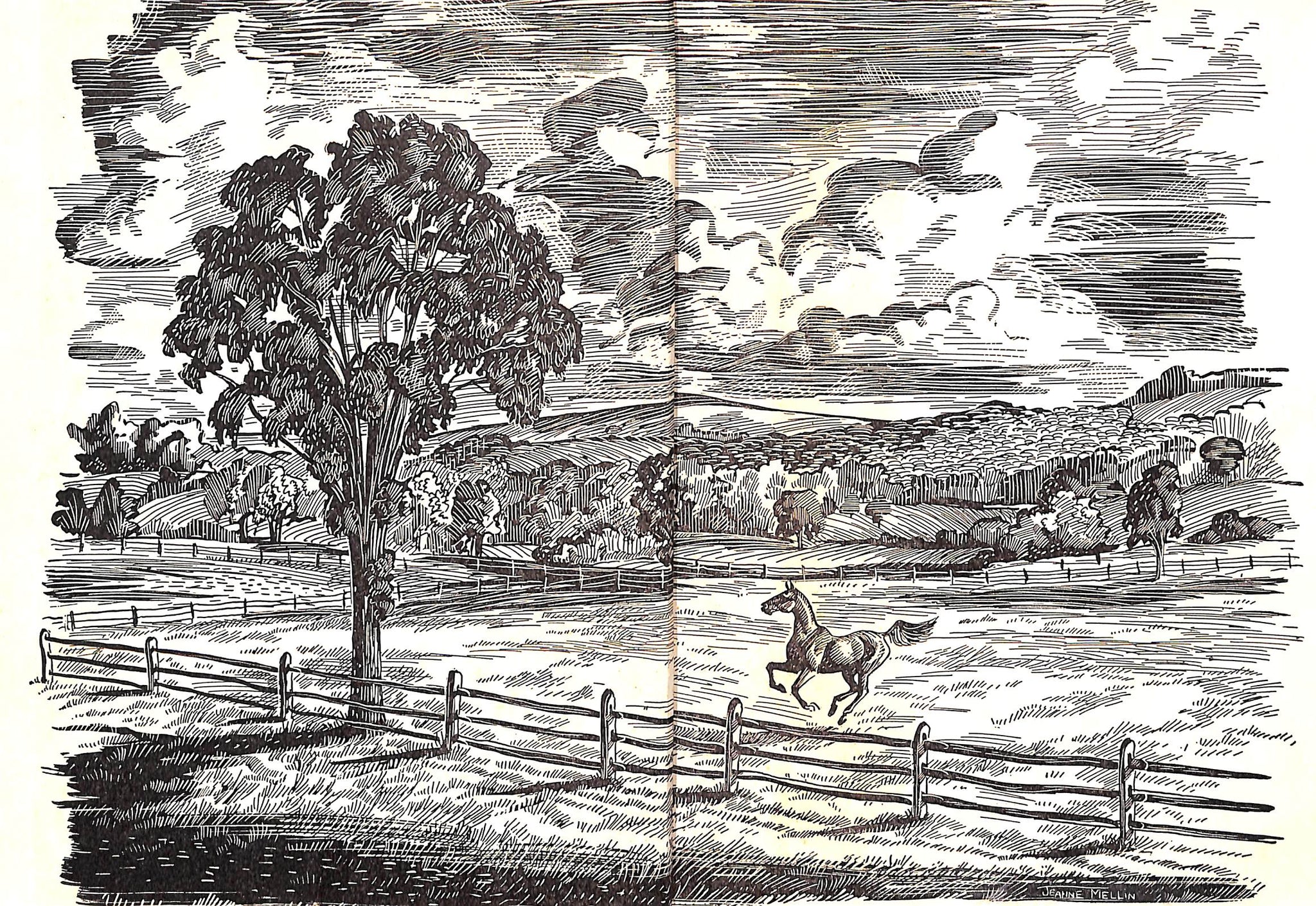 "Penny's Worth" 1952 CAFFREY, Nancy