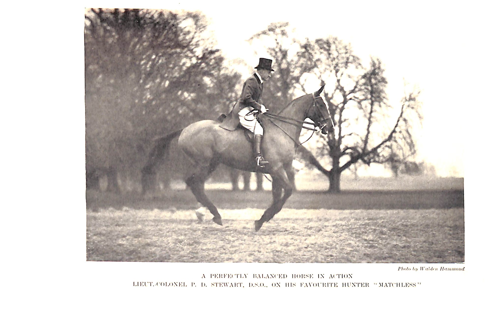 "Saddle Up" 1934 HITCHCOCK, Captain F. C., M. C.