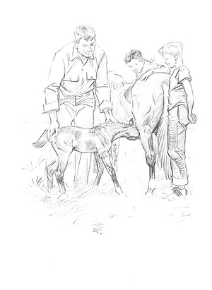 "Pony Farm" 1948 BROWN, Paul (SOLD)