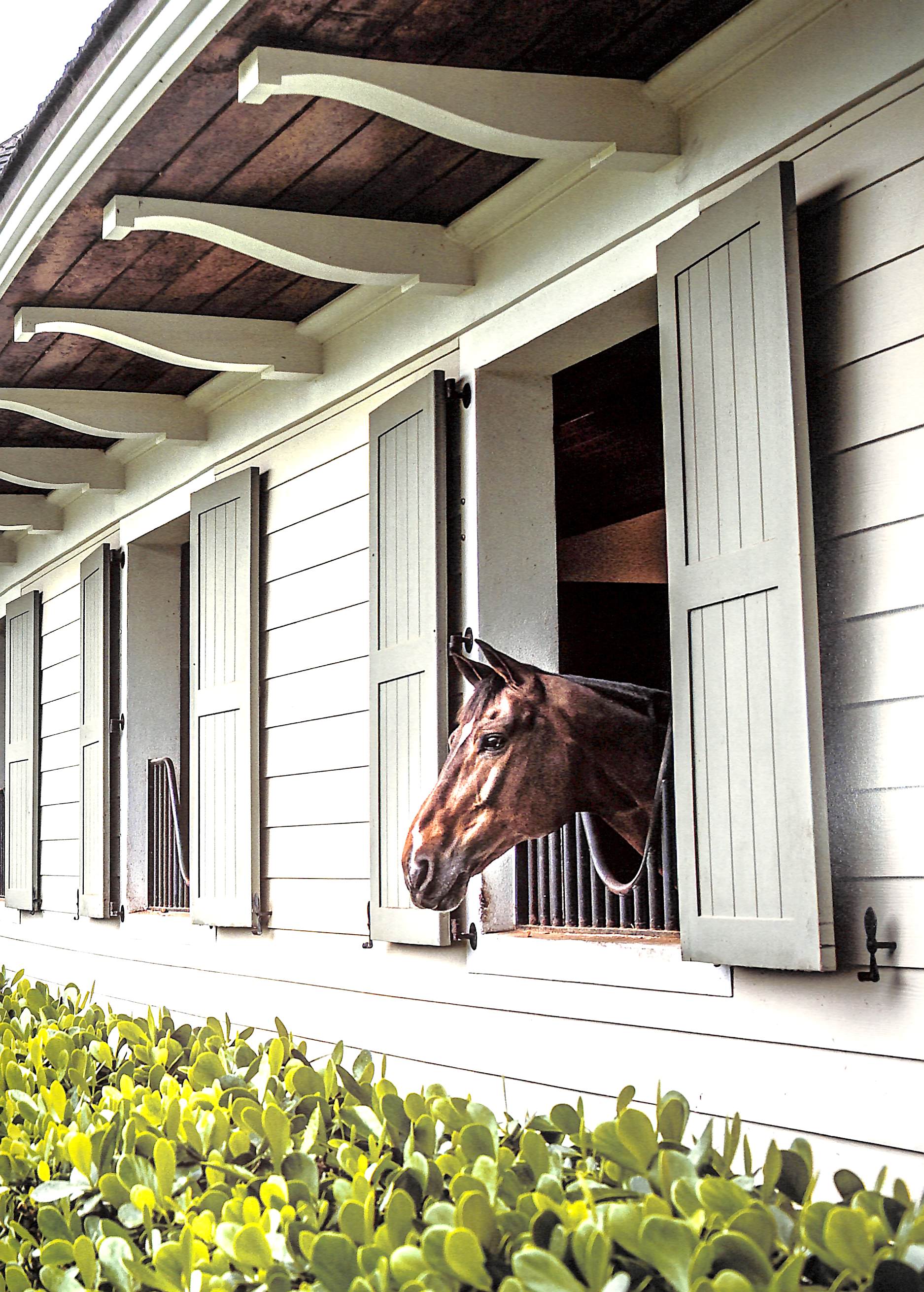 "Wellington: The World Of Horses" 2018 PETERSON, Holly (INSCRIBED) (SOLD)