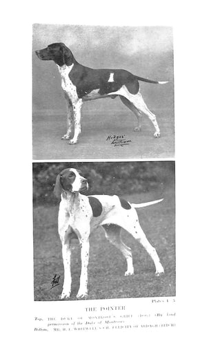 "The Lonsdale Library: Hounds & Dogs Volume XIII" 1932 SMITH, A. Croxton & Others