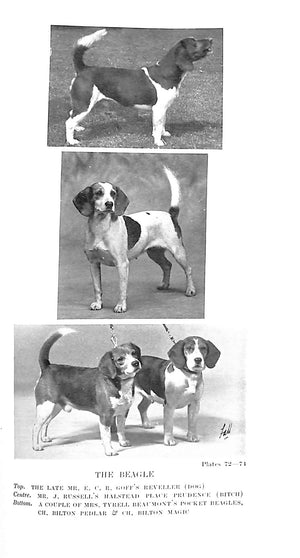 "The Lonsdale Library: Hounds & Dogs Volume XIII" 1932 SMITH, A. Croxton & Others