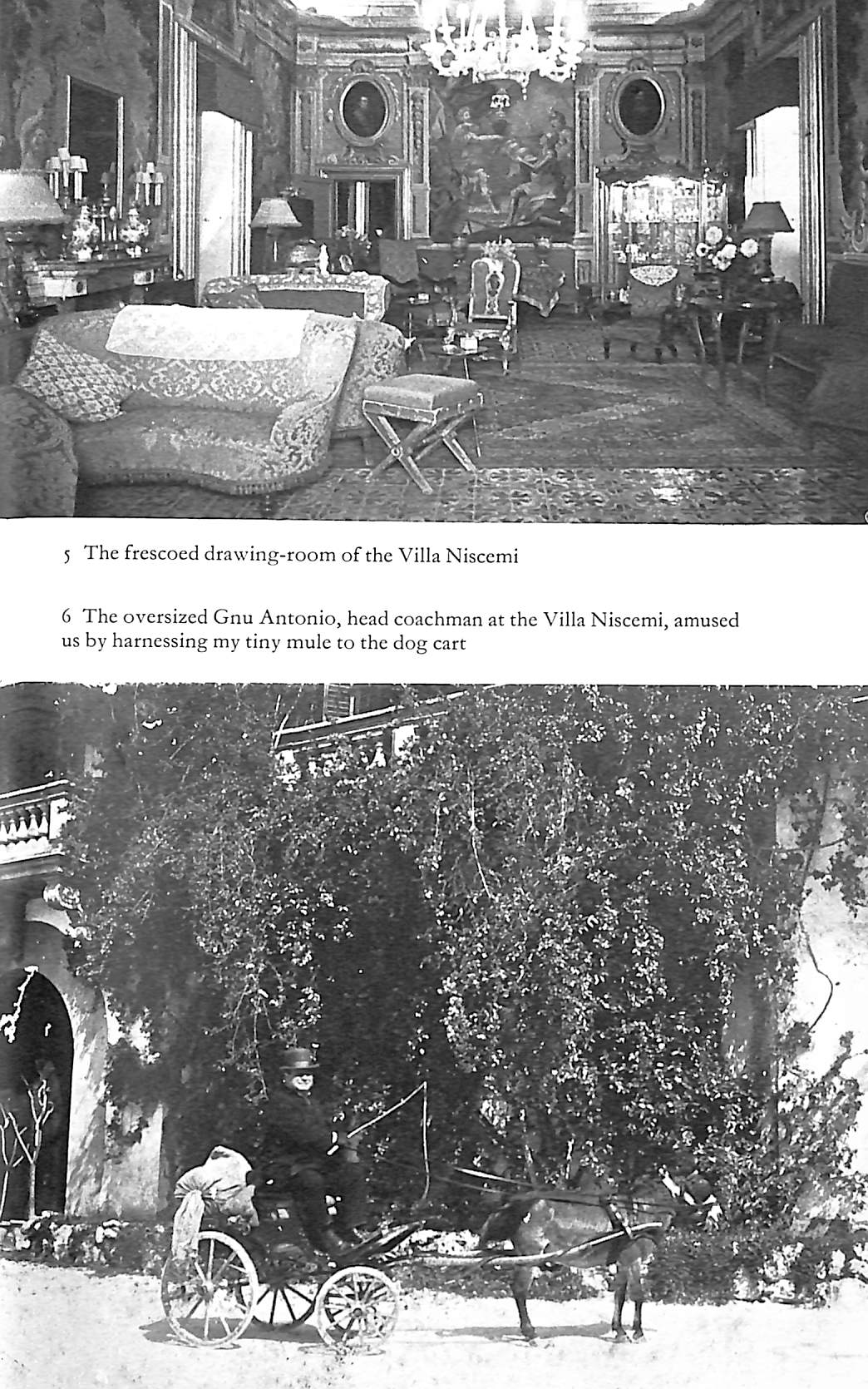 "The Happy Summer Days: A Sicilian Childhood" 1976 Fulco