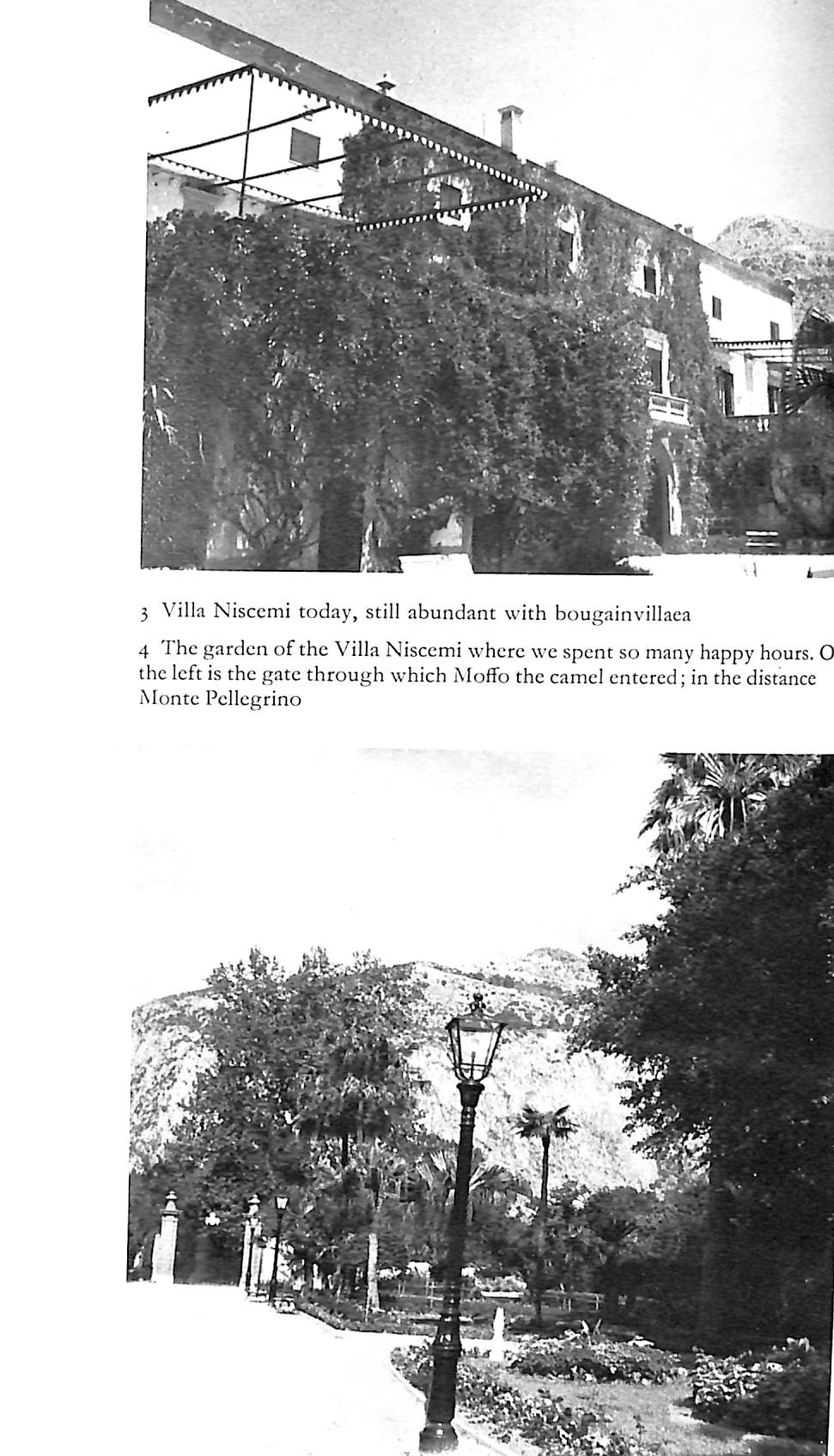 "The Happy Summer Days: A Sicilian Childhood" 1976 Fulco