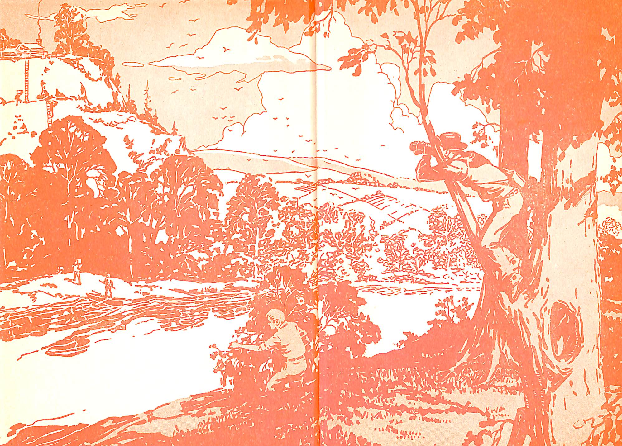 "The Hardy Boys The Melted Coins" 1951 DIXON, Franklin W.