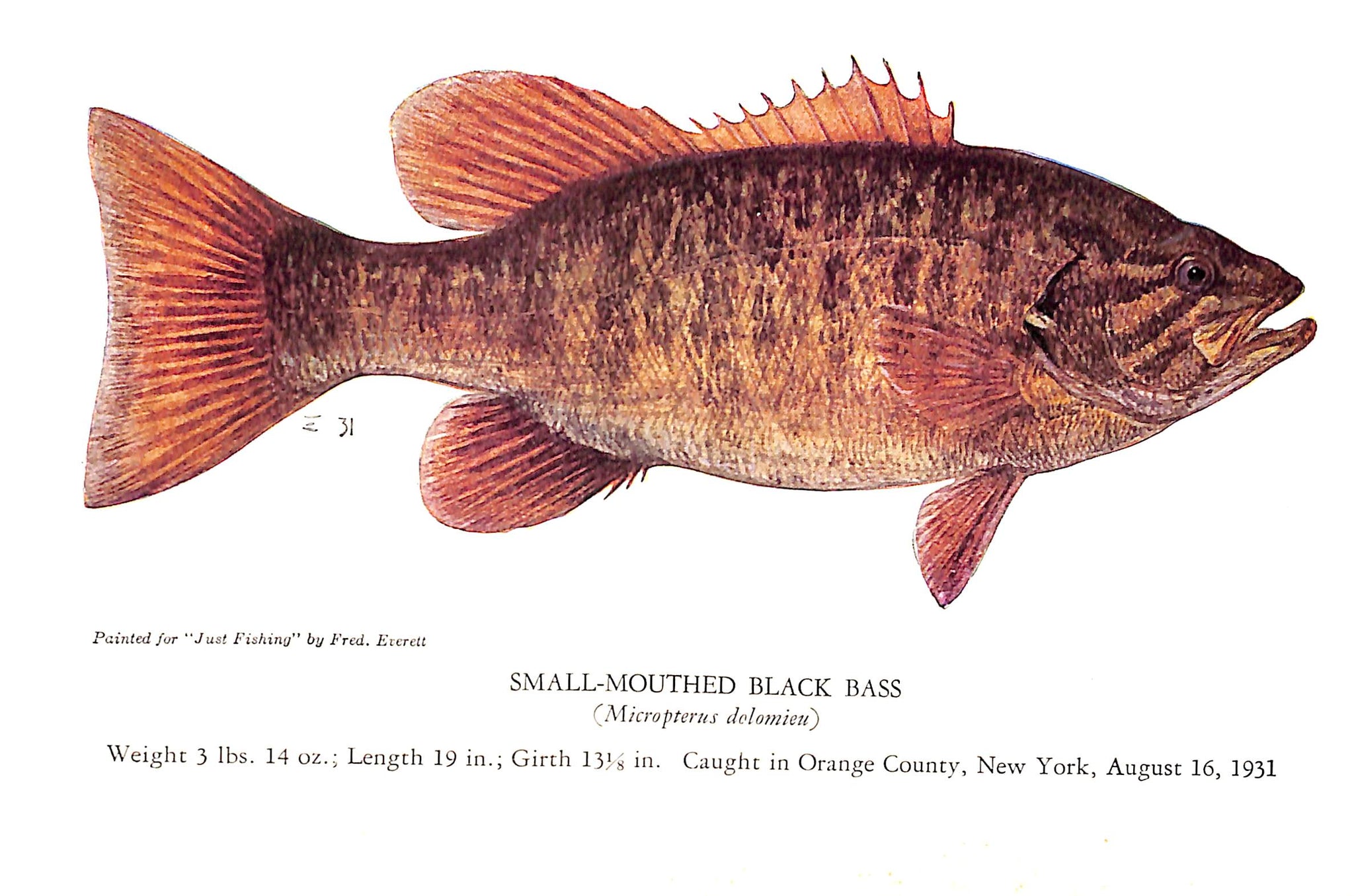 "Just Fishing" 1946 BERGMAN, Ray