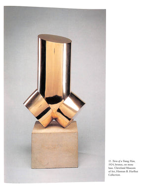 "Constantin Brancusi Shifting The Bases Of Art" 1994 CHAVE, Anna C.