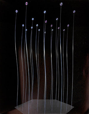 "Tsai: Cybernetic Sculpture Enviroment" 1972