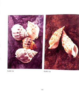 "Shells: Jewels From The Sea" 1989 HARASEWYCH, M.G.