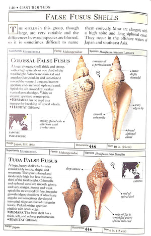 "Shells: The Visual Guide To More Than 500 Species Of Seashells From Around The World" 1992 DANCE, S. Peter