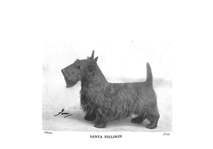 "The Scottish Terrier: Its Breeding And Management" 1938 GABRIEL, Dorothy