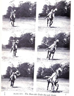 "An Introduction To Polo" 1937 "Marco"