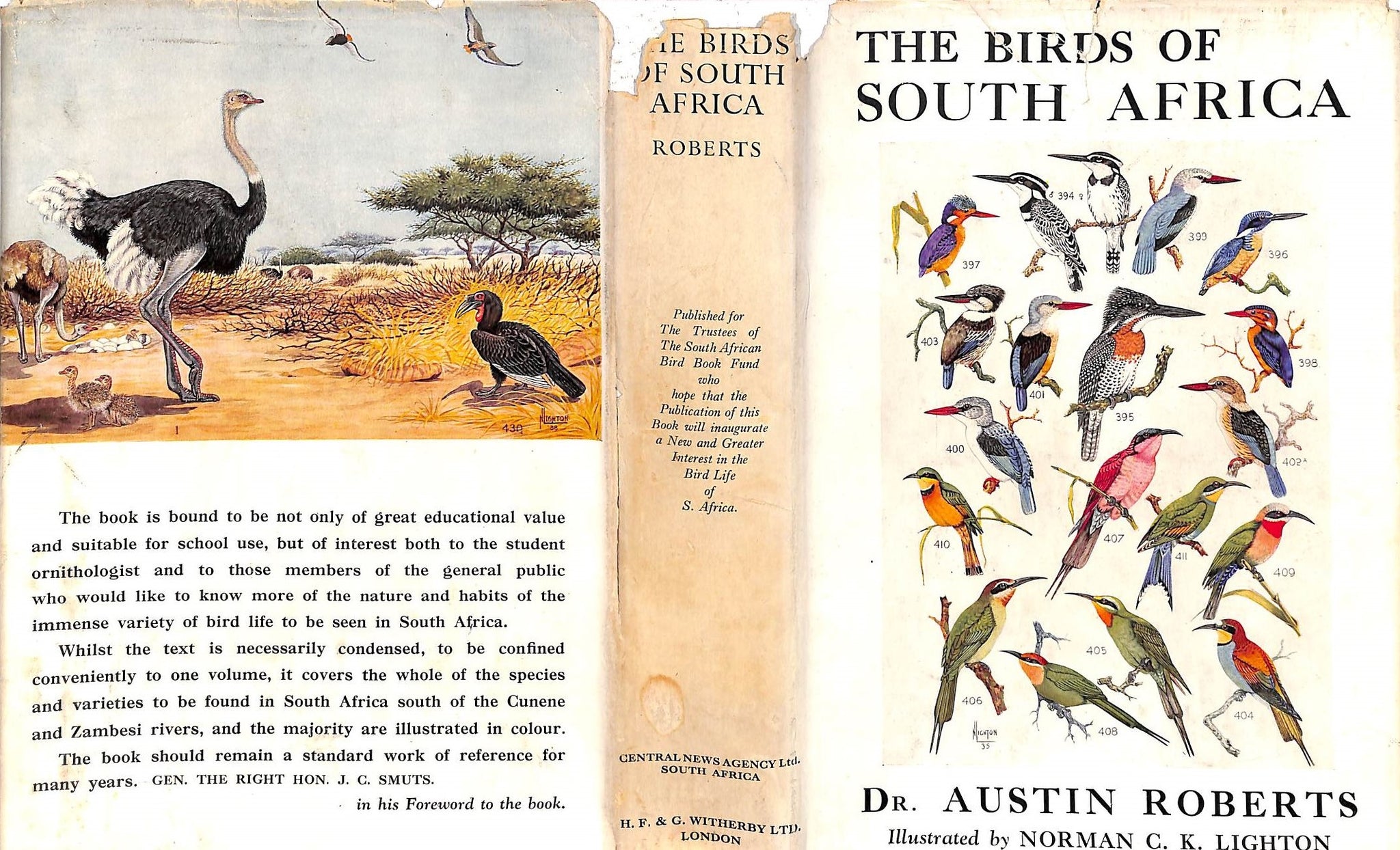 The Birds Of South Africa