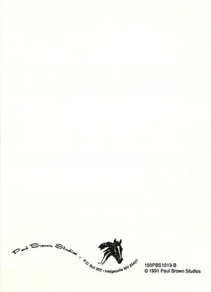 "Paul Brown Horse Head Birthday Card w/ Envelope"