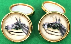 Intaglio Horsehead 4 Stud Buttons & Pair of Pearl-Backed Link Cufflinks