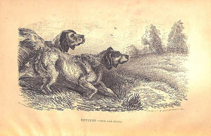 "The Sportsman's Vade Mecum; By "Dinks", Edited by Frank Forester. Containing Full Instructions In All That Relates To Dogs" 1850 FORESTER, Frank
