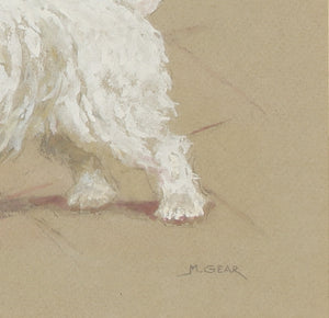"A West Highland Terrier" Bodycolour By Mabel Gear (SOLD)