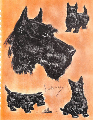 "Diana Thorne's Dogs: An Album Of Drawings" 1944 THORNE, Diana
