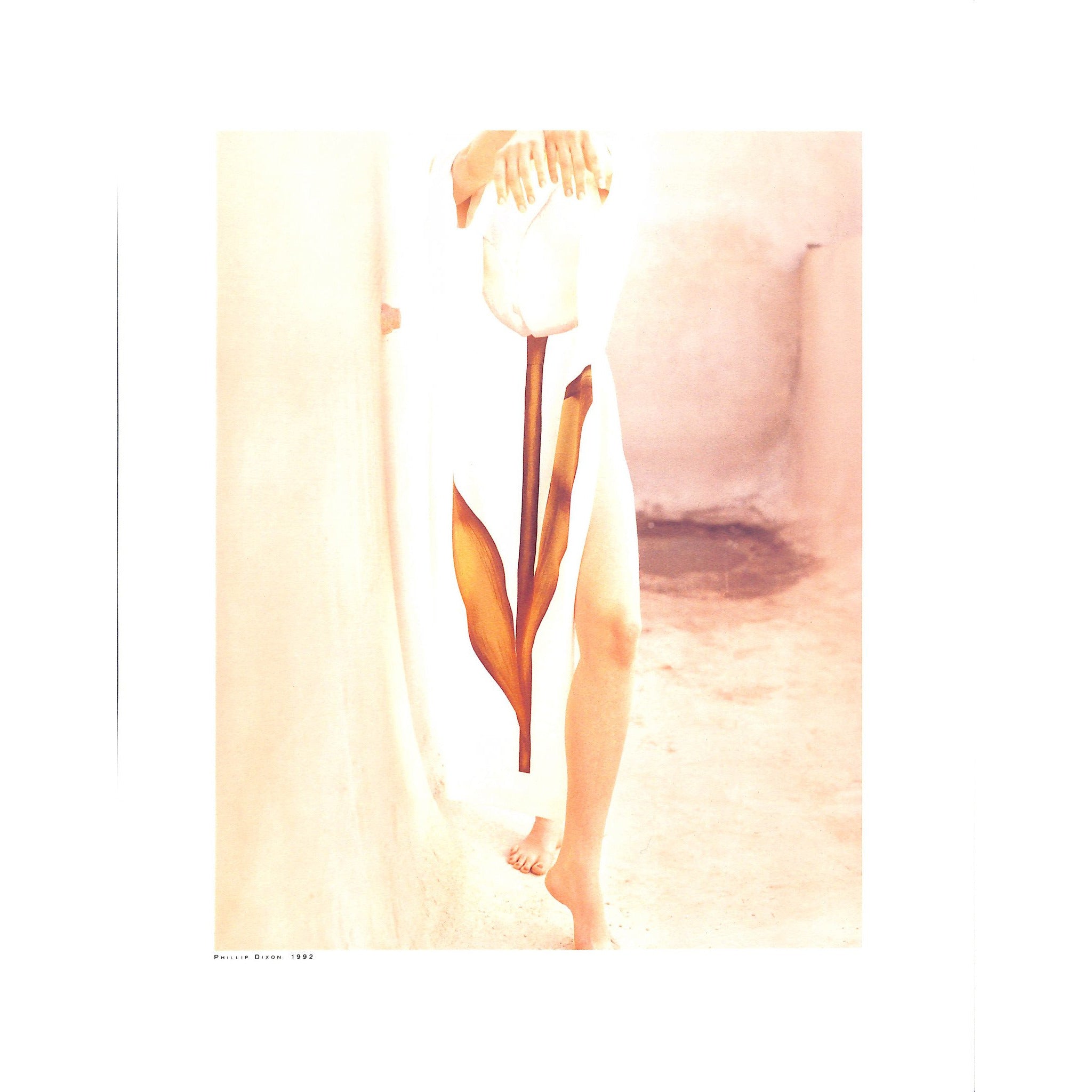 125 Great Moments of Harper's Bazaar