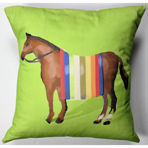 Apple Green Multicolour Stripe Horse Blanket Pillow