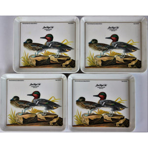 Set of 4 Green Winged Teal Audubon Coasters