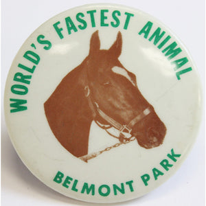 World's Fastest Animal Belmont Park