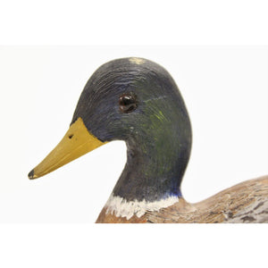 Mallard Drake Duck Decoy