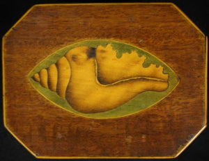 19th Century Shell Marquetry Tea Caddy