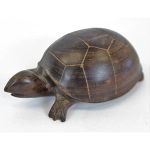 Nesting 2 Turtles w/ Inset Magnifying Glass