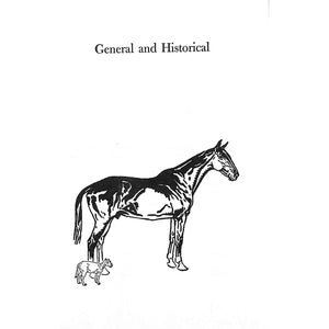Horse And RIder: 1000 Questions and Answers For The Equestrian