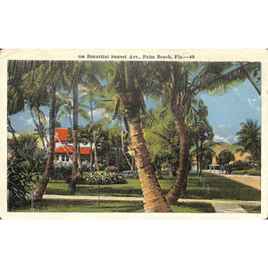 On Beautiful Sunset Ave., Palm Beach Post Card