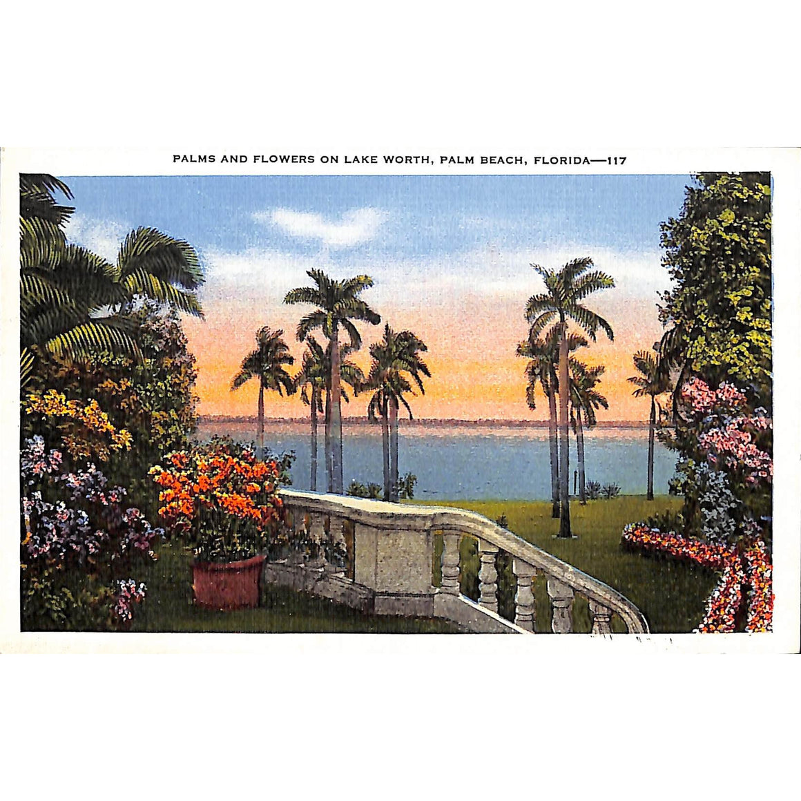 Palms and Flowers on Lake Worth, Palm Beach Post Card