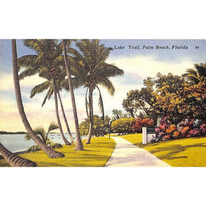 Lake Trail, Palm Beach c1951 Post Card (SOLD)