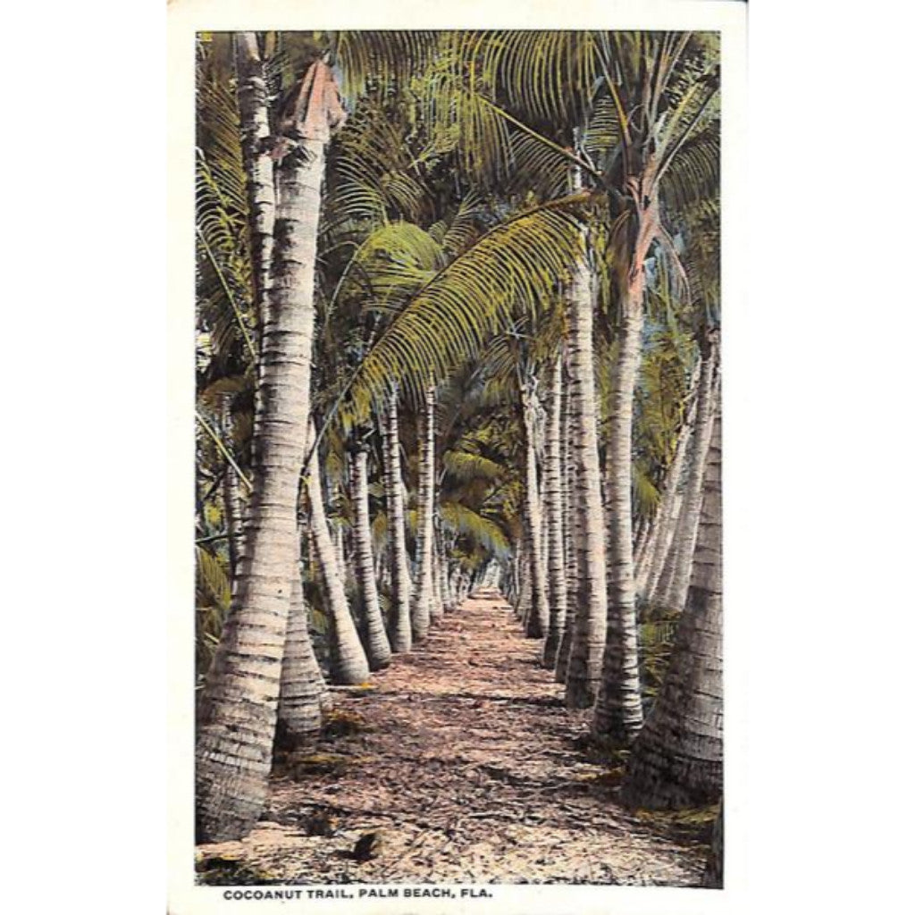 "Cocoanut Trail Palm Beach" Postcard