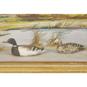 Duck Marsh Watercolour Diorama