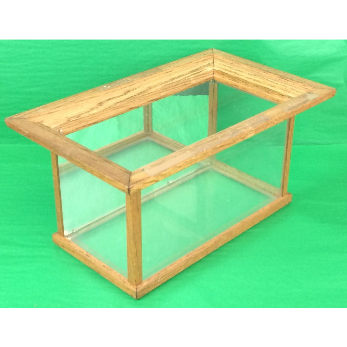 Glass Display Dome Case