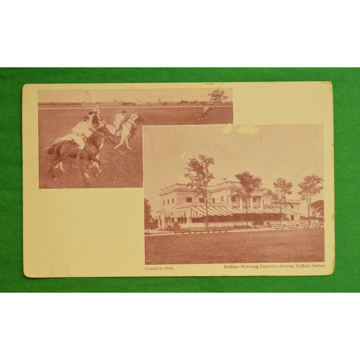 Buffalo Morning Express Country Club Postcard w/ Polo Players