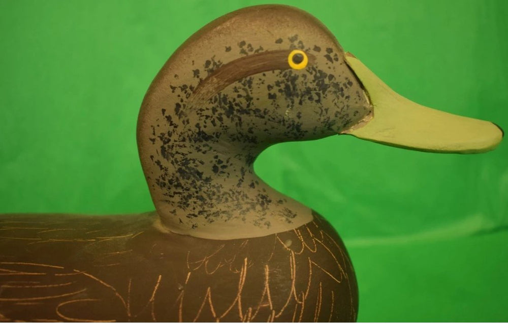 "Chesapeake Black Duck Decoy HandCarved by Capt Jobes Havre De Grace,