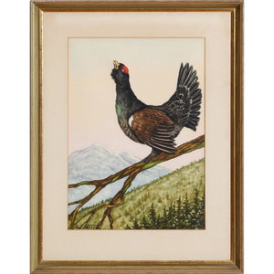 Grouse Watercolour by Jean Herblet from the CZ Guest estate