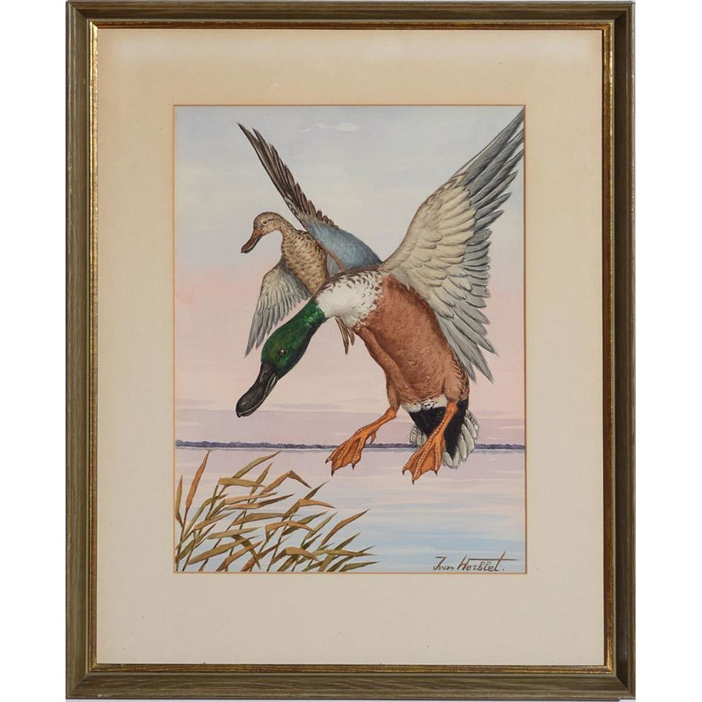 Ducks in Flight 1 Watercolour by Jean Herblet from the CZ Guest estate