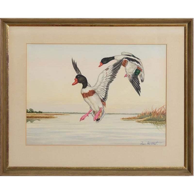 Ducks in Flight 3 Watercolour by Jean Herblet from the CZ Guest estate