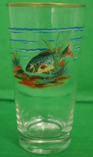 "Set x 4 Hand-Painted Game Fish Highball Glasses"