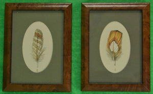 Pair of Pheasant Feathers Watercolours by Harry Spencer of Empingham, Eng in Birdseye maple Frames