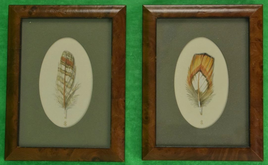 Pair of Pheasant Feathers Watercolours by Harry Spencer of Empingham, Eng in Birdseye maple Frames
