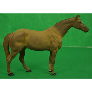 Lead Horse w/ Tattersall Blanket