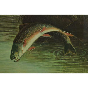 Authorized Orvis Dealer Leaping Trout Color-Plate by S.A Kilbourne 1878